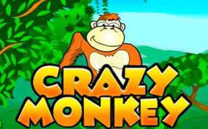 Crazy Monkey