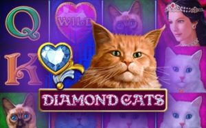 Diamond Cats