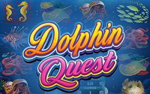 Dolphin Quest