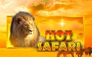 Hot Safari