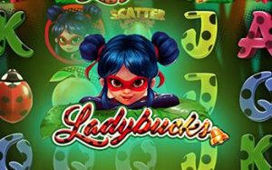 Ladybucks