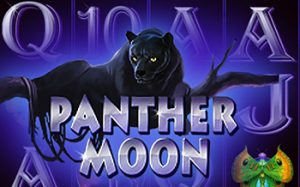 Panther Moon