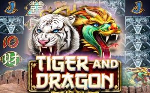 Tiger and Dragon