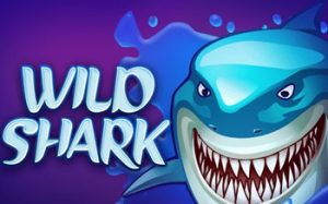 Wild Shark