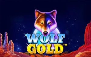 Wolf Gold